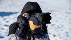 Vallerret senja liner senja mitt