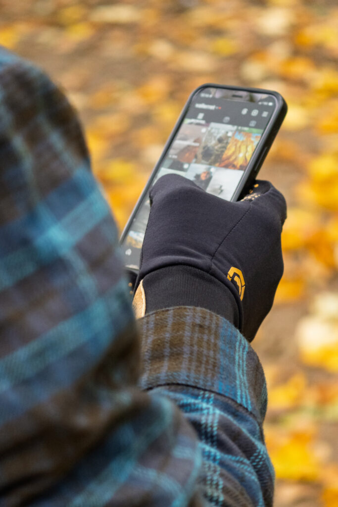 Vallerret senja liner senja mitt